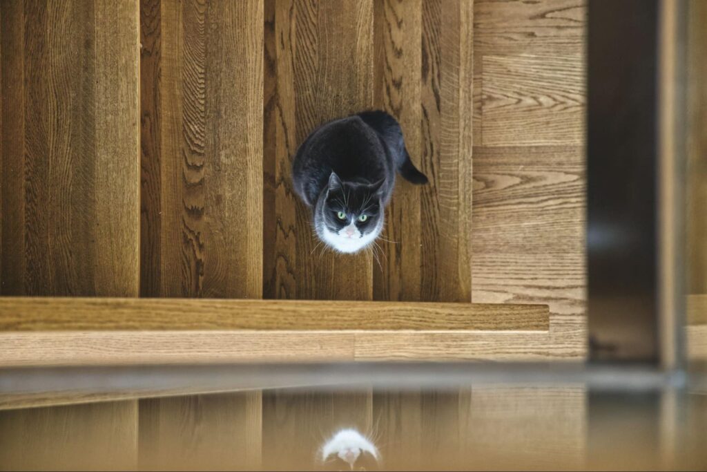 how long should engineered wood flooring last