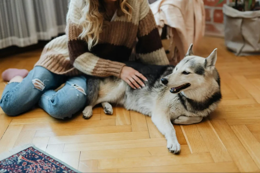 what is the best flooring for dogs who pee